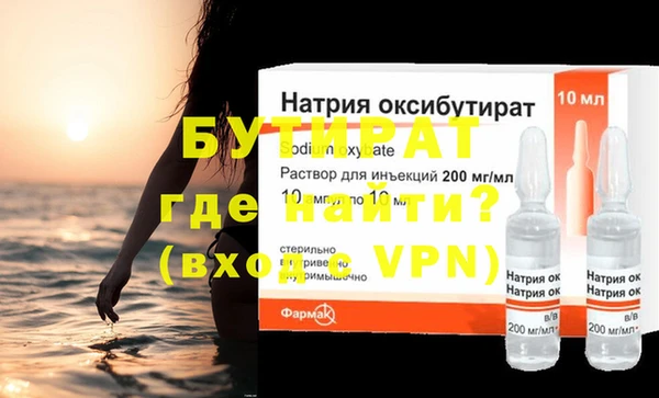 индика Гусев