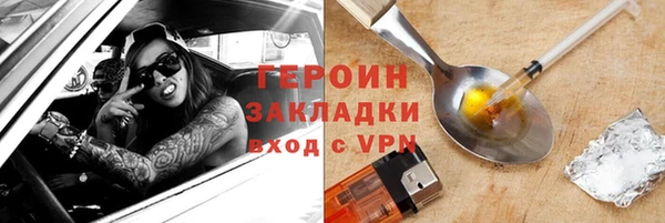 индика Гусев