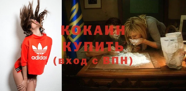индика Гусев