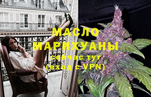 индика Гусев