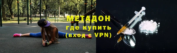 индика Гусев