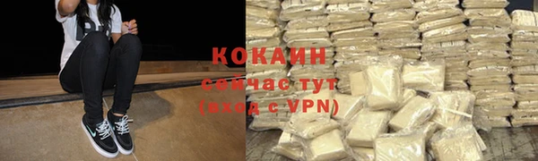 индика Гусев