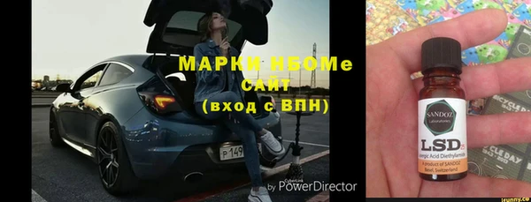 индика Гусев