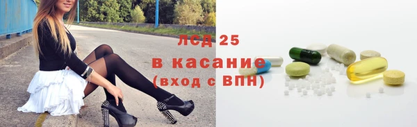 индика Гусев