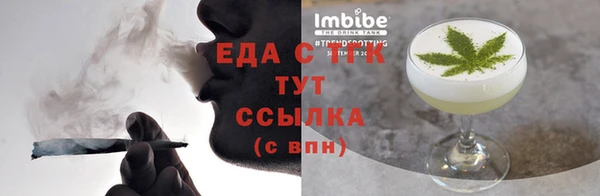 индика Гусев