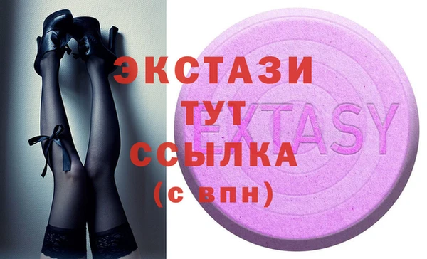 индика Гусев