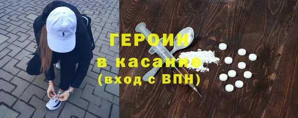 индика Гусев