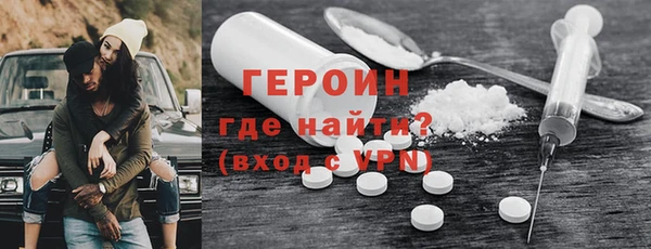 индика Гусев