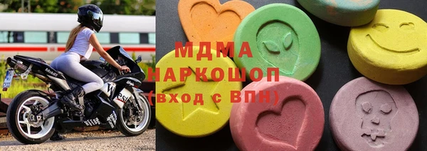 индика Гусев