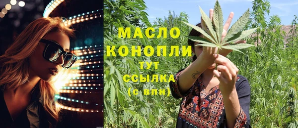 индика Гусев